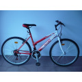 26" Steel Frame Mountain Bike (CZ2604)